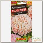 Семена Цветы, Астра, Александрия шамоа, 0.1 г, цветная упаковка, Аэлита