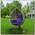 Качели садовые Кокон, 1-мест, 65х105х198 см, 150 кг, Green Days, темно-серые, ротанг, подушка фиолетовая, TZF-H056-18-3712