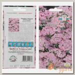 Семена Цветы, Гвоздика, Флоренция, цветная упаковка, Седек