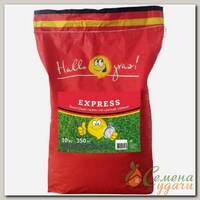 Семена Газон, Express, 10 кг, мешок, ГазонCity