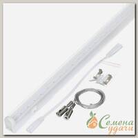 Фитолампа светодиодная Camelion LWL-2014-01CL 8 Вт, для растений