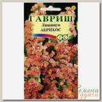 Семена Цветы, Лимониум, Абрикос DH, 0.01 г, цветная упаковка, Гавриш