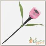 Фонарь садовый Uniel, USL-C-451/PT305 PINK TULIP, на солнечной батарее, грунтовый, пластик, 30.5 см, белый свет, розовый