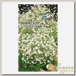 Семена Цветы, Гипсофила, Белое облако, 0.1 г, цветная упаковка, Седек