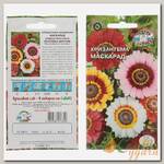 Семена Цветы, Хризантема, Маскарад, 0.5 г, цветная упаковка, Седек