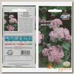 Семена Цветы, Агератум, 0.1 г, цветная упаковка, Седек
