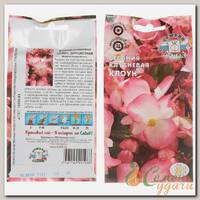 Семена Цветы, Бегония, Клоун, 10 г, цветная упаковка, Седек