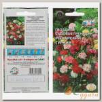 Семена Цв Гвоздика Рыцарский Турнир ЦВ