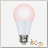 Лампочка светодиодная для птицы, E27, 9 Вт, IP65, A60, SCEP, спектр для яйценоскости, Uniel, PLO65WH, UL-00003189