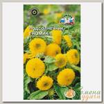 Семена Цветы, Подсолнечник, Гномик, 0.4 г, золотисто-желтые, цветная упаковка, Седек