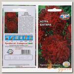Семена Цветы, Астра, Багира, 0.2 г, цветная упаковка, Седек