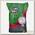 Семена Газон, Quick Lawn, 10 кг, износостойкий, мешок, Johnsons Lawn Seed