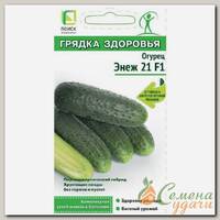 Семена Огурец, Энеж 21 F1, 12 шт, Грядка здоровья, цветная упаковка, Поиск