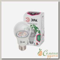 Лампочка светодиодная для растений, E27, 12 Вт, Эра, Фито FITO-12W-RB-E27-K, Б0039070