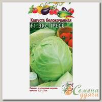 Семена Капуста белокочанная, Экспресс, 0.1 г, цветная упаковка, Гавриш