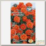 Семена Цветы, Портулак, Вспышка, махровый, оранжевый, цветная упаковка, Седек
