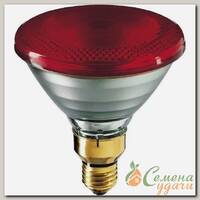 Лампа IR175R PAR38 230В E27.1CT/12 Philips 923801444210 / 871150060053015
