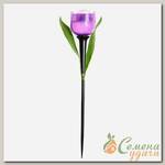 Фонарь садовый Uniel, Purple Tulip USL-C-453/PT305, на солнечной батарее, грунтовый, пластик, 5.5х30.5 см, белый свет
