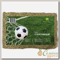 Семена Газон, Спортивный Эконом, 500 г, пакет, ГазонCity