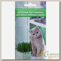 Семена Зеленые витамины, 10 г, для кошек, цветная упаковка, Русский огород