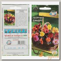 Семена Цв Георгина Сандро ЦВ