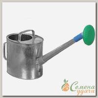 Лейка садовая, сталь, 8 л, с распылением, оцинкованная