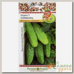 Семена Огурец, Сорванец F1 Вкуснятина, цветная упаковка, Русский огород