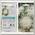 Семена Цв Астра Санта Лючия (кремов) ЦВ
