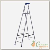 Стремянка 1 секция, 8 ступеней, сталь, 1.73 м, 100 кг, Nika, СП8