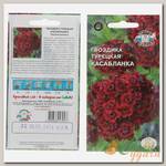 Семена Цв Гвоздика Касабланка ЦВ